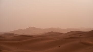 Photo Desert dunes