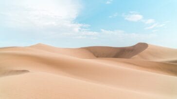 Photo Desert landscape