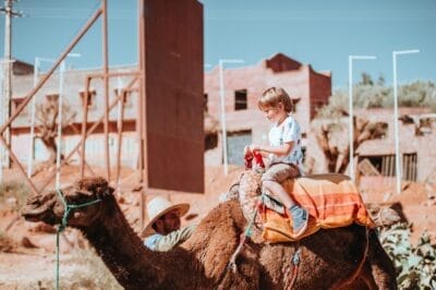 Photo Camel saddle