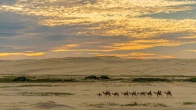 Photo Camel caravan