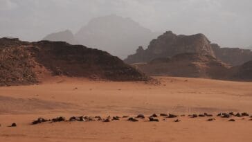 Photo Desert landscape