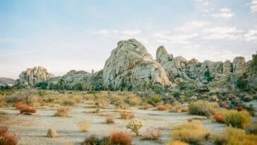Photo Desert landscape