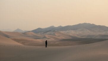 Photo Desert landscape