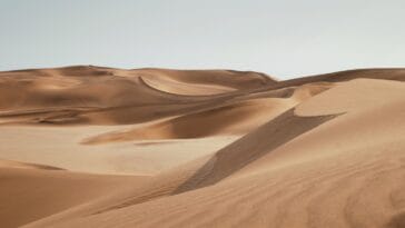 Photo Desert landscape