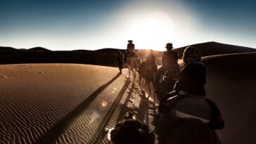 Photo Camel caravan