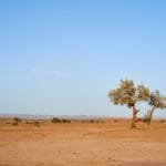 Photo Desert landscape