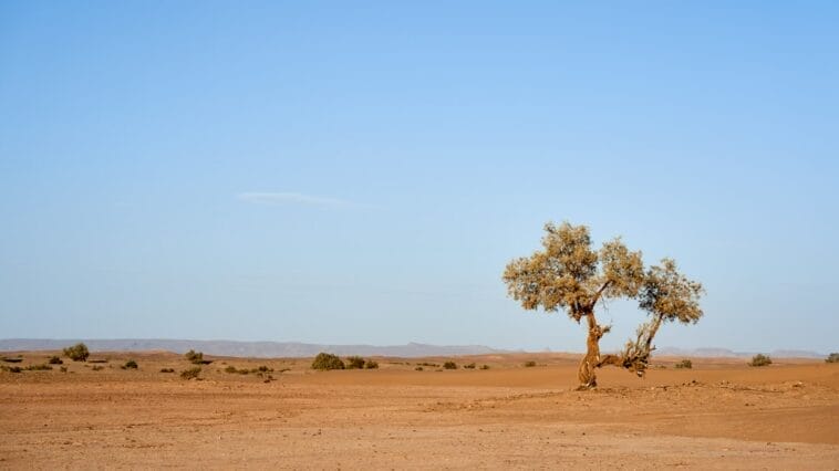 Photo Desert landscape