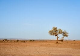 Photo Desert landscape