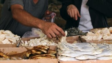 Photo Market activity