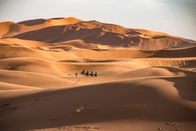 Photo Camel caravan