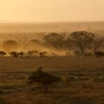 Photo Savannah landscape