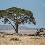 Photo African landscape