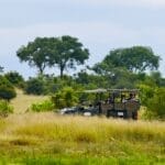 Photo Safari adventure