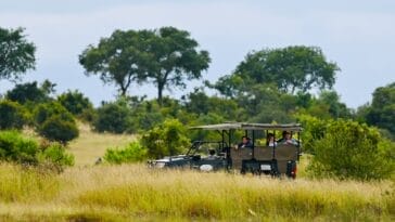 Photo Safari adventure