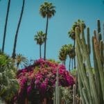 Photo marrakesh morocco