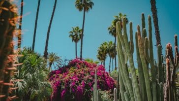 Photo marrakesh morocco