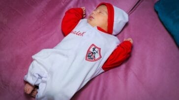 Photo pyramids of giza from cairo