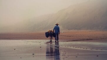 Photo morocco culture