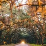 Photo Savannah sunset