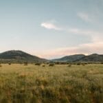 Photo Savannah landscape