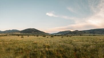 Photo Savannah landscape