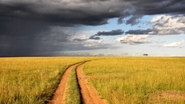 Photo Savannah landscape