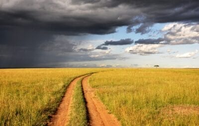 Photo Savannah landscape