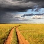 Photo Savannah landscape