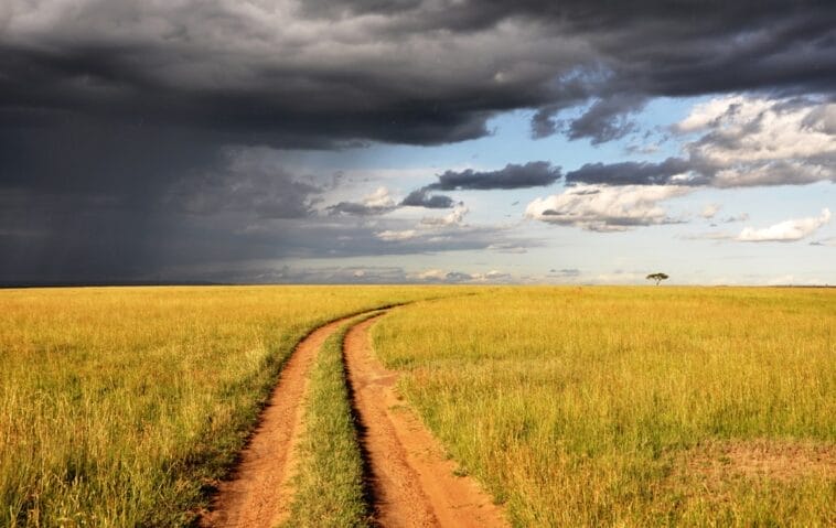 Photo Savannah landscape