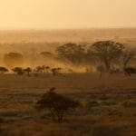 Photo Savannah landscape