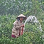 Photo Farmers, Crops