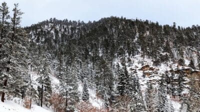 Photo Snowy landscape