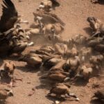 Photo Victoria Falls