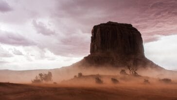 Photo Safari landscape