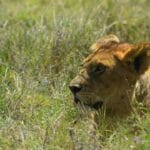 Photo Serengeti National Park