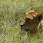Photo Serengeti National Park