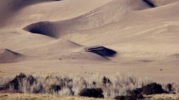 Photo Sand dunes