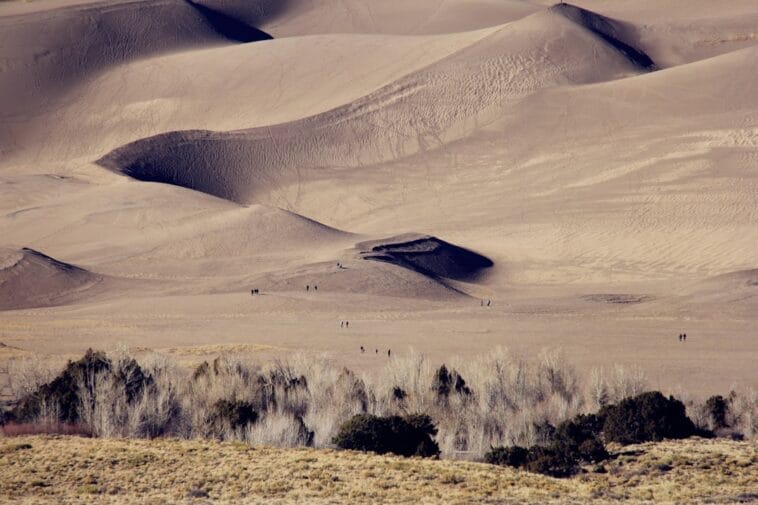 Photo Sand dunes