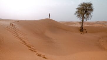 Photo Sand dunes
