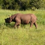 Photo Victoria Falls