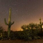 Photo Saguaro cactus