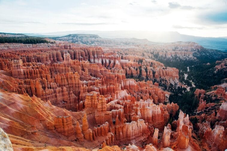 Photo Desert landscape