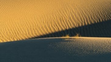 Photo Sand dunes