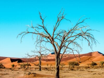 Photo Sossusvlei Dunes