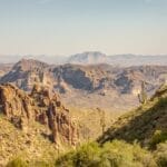 Photo Saguaro cactus