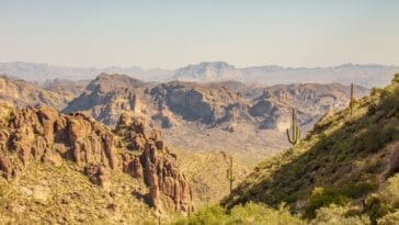 Photo Saguaro cactus