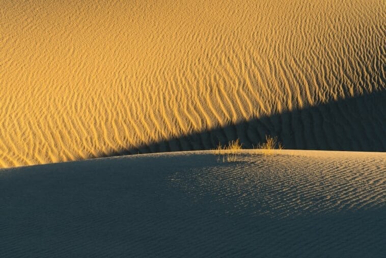 Photo Sand dunes