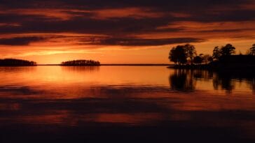 Photo Safari landscape