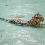 Photo Safari adventure