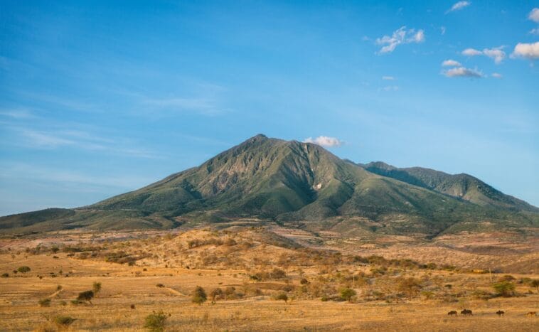 Photo Safari landscape